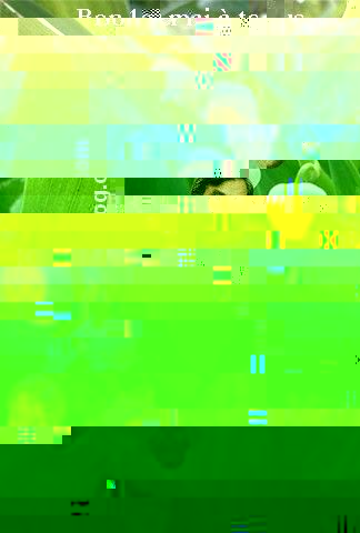 afbe2fceb43756fa06f08feea5dea649_324_480.jpg