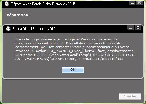 Capture-problème avec logiciel Windows installer.JPG