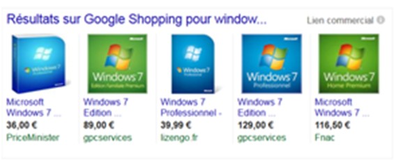 WINDOWS.jpg