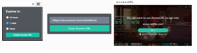 AccessURL-2.png