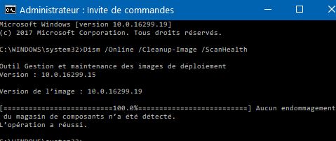 Capture-résultat de l'analyse dism online.JPG