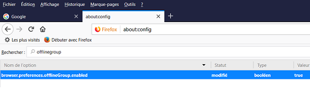 Contenu Web Firefox-1.png